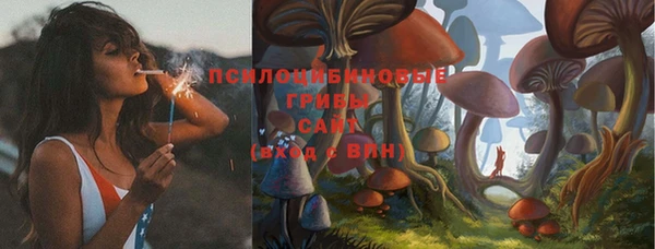 МДПВ Усинск