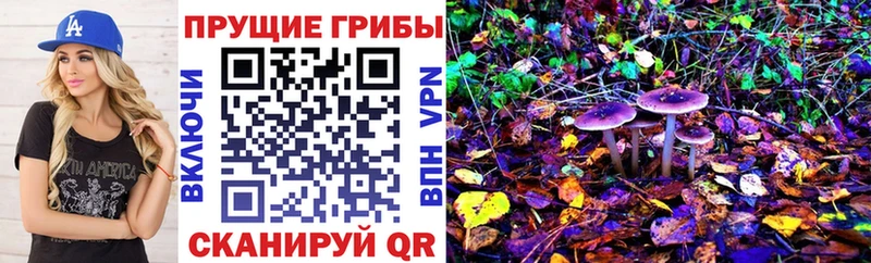 где купить наркоту  Шлиссельбург  Галлюциногенные грибы прущие грибы 